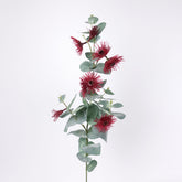 Eucalyptus Flowering Blossom Spray Red